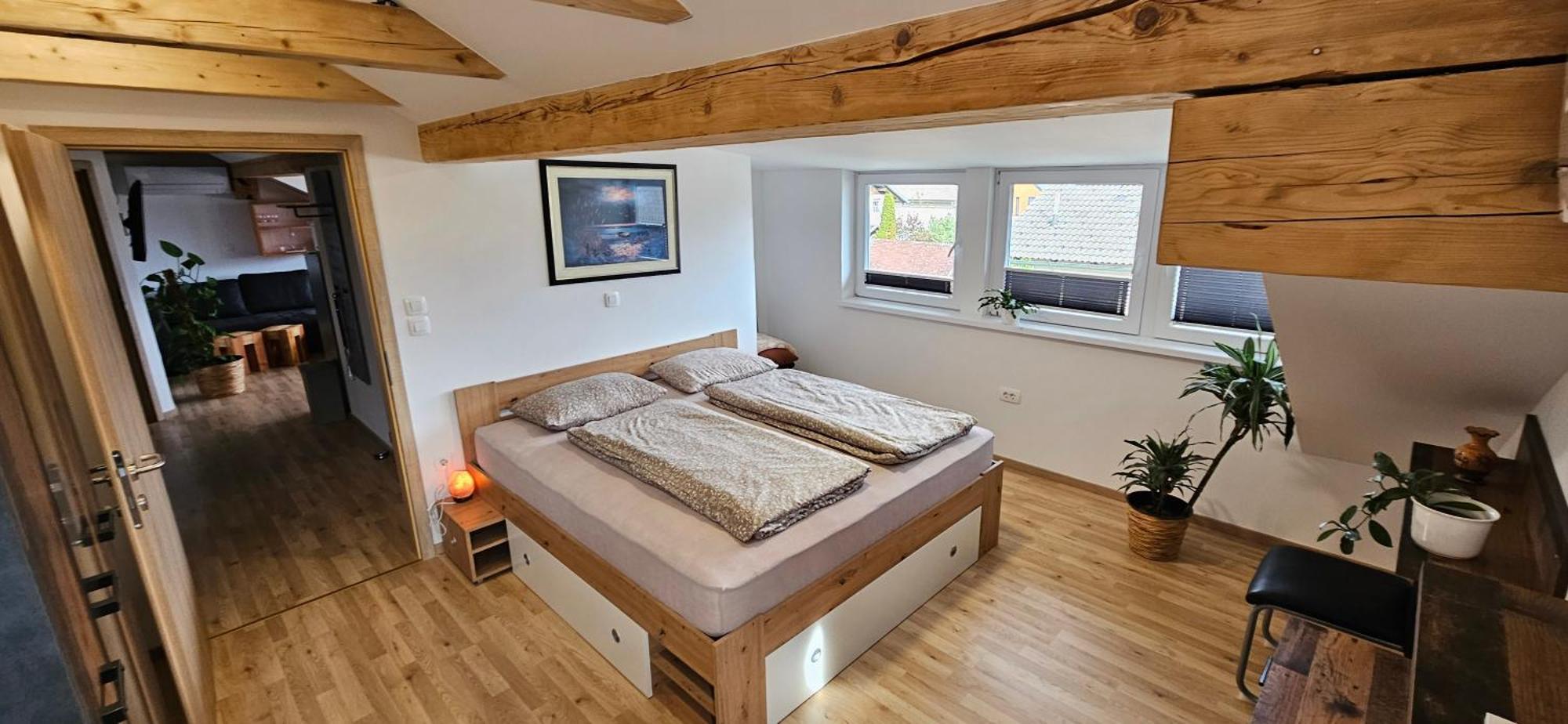 Apartma Ajja Šenčur Extérieur photo